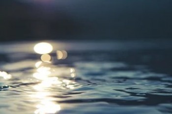 保險(xiǎn)中途退保能退出多少錢