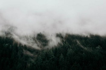 天安人壽保險(xiǎn)怎么退保