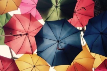 平安尊越人生兩全保險(xiǎn)分紅型退保