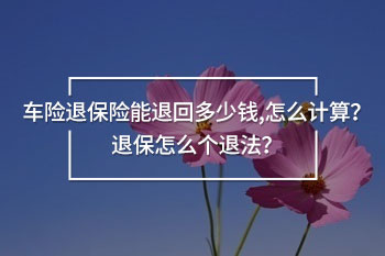 車險(xiǎn)退保險(xiǎn)能退回多少錢,怎么計(jì)算