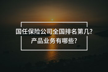 國任保險公司全國排名