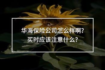 華海保險公司怎么樣啊