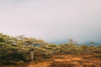 介紹一下中國保險網(wǎng)絡(luò)大學?中國保險網(wǎng)絡(luò)大學怎么樣?