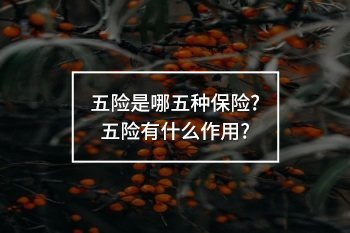 五險(xiǎn)是哪五種保險(xiǎn)?五險(xiǎn)有什么作用?