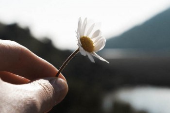 保險(xiǎn)受益人指定的范圍