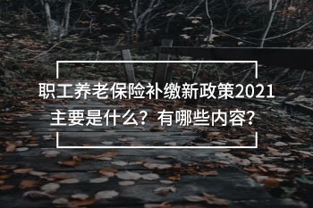 職工養(yǎng)老保險(xiǎn)補(bǔ)繳新政策2021主要是什么？有哪些內(nèi)容？