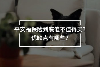 平安福保險(xiǎn)到底值不值得買