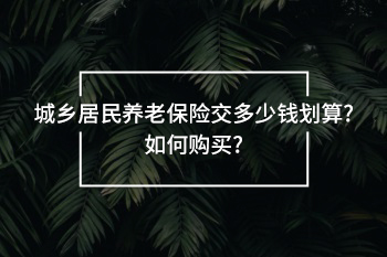 城鄉(xiāng)居民養(yǎng)老保險(xiǎn)交多少錢劃算?如何購(gòu)買?