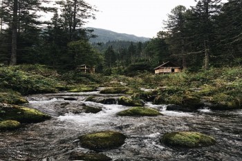 城鄉(xiāng)居民醫(yī)療保險(xiǎn)繳費(fèi)多少錢(qián)？有哪些渠道？