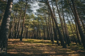 中國大地保險怎么樣？靠譜嗎？