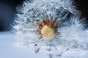 新華保險公司怎么樣可靠嗎