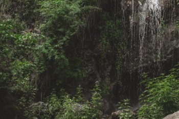 養(yǎng)老保險交多少年