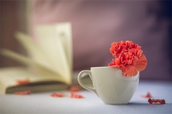 職工養(yǎng)老保險一年交多少錢