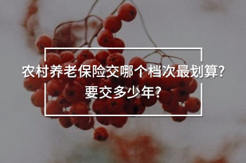 農村養(yǎng)老保險交哪個檔次最劃算
