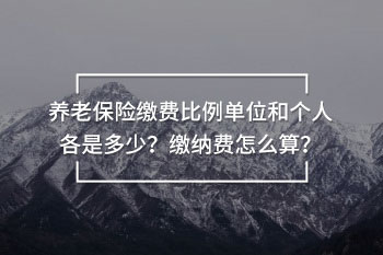 養(yǎng)老保險(xiǎn)繳費(fèi)比例單位和個(gè)人