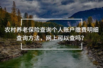 農(nóng)村養(yǎng)老保險查詢個人賬戶繳費(fèi)明細(xì)查詢