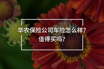 華農(nóng)保險(xiǎn)公司車(chē)險(xiǎn)怎么樣？值得買(mǎi)嗎？