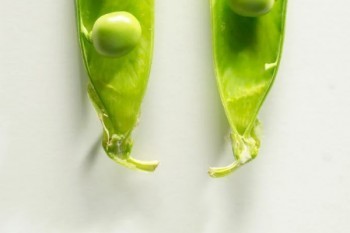 太平康悅醫(yī)療保險(xiǎn)怎么樣