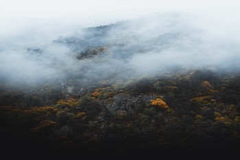 交保費一年要退保能退多少錢