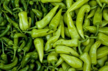 太平商業(yè)醫(yī)療保險險種