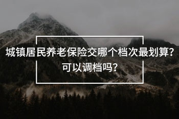 鎮(zhèn)居民養(yǎng)老保險(xiǎn)交哪個(gè)檔次最劃算