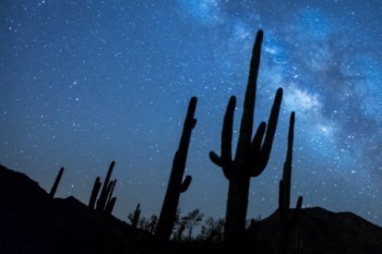 北大方正人壽退保費(fèi)啥時(shí)候到賬