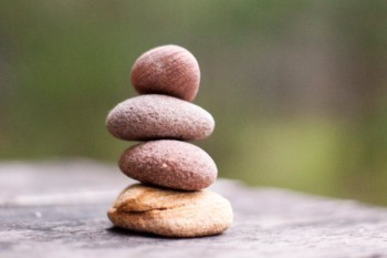沒有保險(xiǎn)合同可以退保嗎