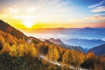 金滿意足臻享版增額終身壽險(xiǎn)