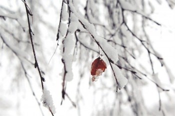 平安退保當天能拿到錢嗎