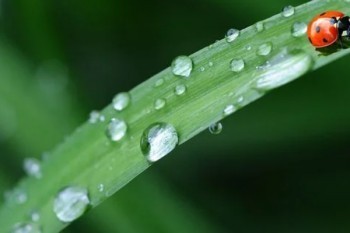 達(dá)爾文三號和超級瑪麗三號哪一個(gè)更好