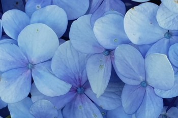 信泰超級(jí)瑪麗重疾險(xiǎn)3號(hào)max好不好？在哪里購(gòu)買？