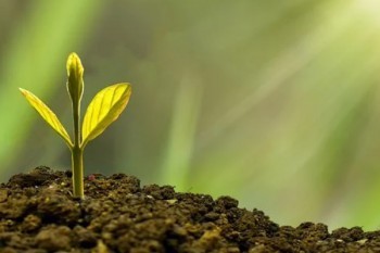 信泰超級(jí)瑪麗重疾險(xiǎn)3號(hào)