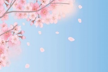 信泰超級(jí)瑪麗5號(hào)和達(dá)爾文5號(hào)比起來(lái)有什么優(yōu)勢(shì)？應(yīng)該怎么買？
