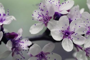 超級瑪麗重疾險(xiǎn)2號max保什么？可附加什么責(zé)任？