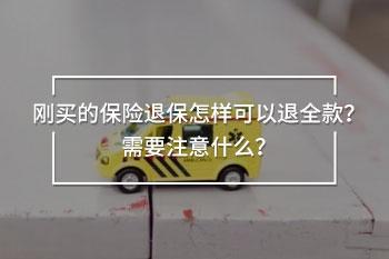 剛買的保險(xiǎn)退保怎樣可以退全款