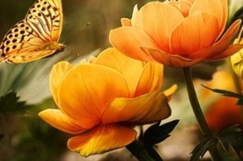 信美人壽天天向上在哪買？?jī)?yōu)點(diǎn)有哪些？
