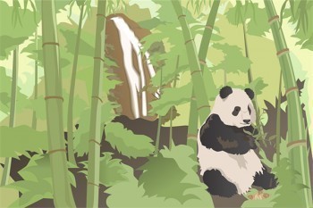 泰人壽達爾文5號在哪里買