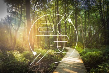 弘康人壽利多多增額壽險(xiǎn)如何投保