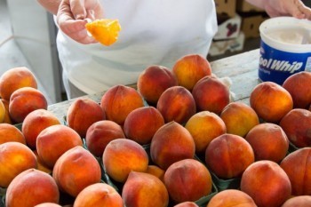 弘康利多多增額終身壽險哪里買最好？是哪家承保公司？