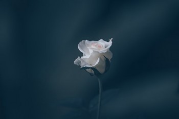 少兒門診醫(yī)療險(xiǎn)要不要買