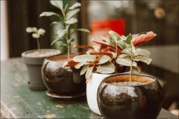 平安萬(wàn)能險(xiǎn)智盈人生怎么樣