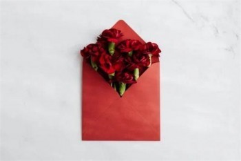 阿波羅1號重疾險條款