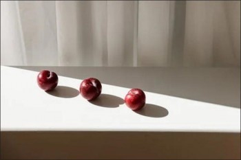 康惠保和達(dá)爾文五號(hào)對(duì)比有什么區(qū)別？各有什么優(yōu)勢(shì)？