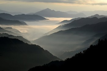達(dá)爾文五號保險是哪家公司的