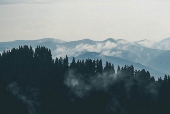 信泰如意尊是哪個(gè)保險(xiǎn)公司