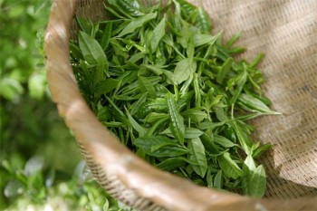 個(gè)人買保險(xiǎn)買哪種保險(xiǎn)種類好