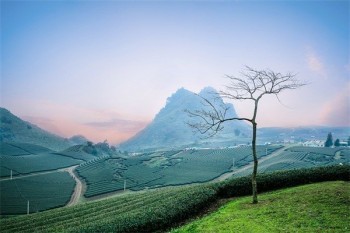 買保險應(yīng)該怎么買
