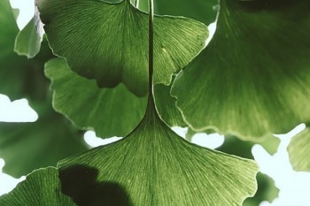 買(mǎi)保險(xiǎn)主要買(mǎi)哪些