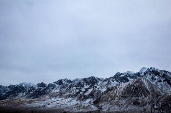 兩年保險退保怎樣損失最?。績赡瓯ｋU退保規(guī)定有什么？
