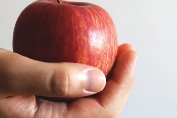 退保多久可以再買保險